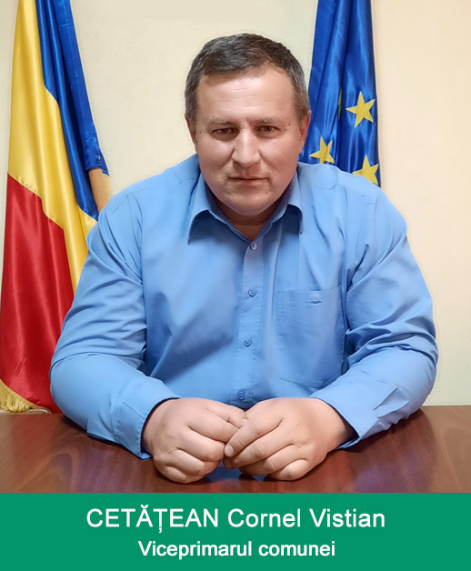 Cetățean Cornel Vistian